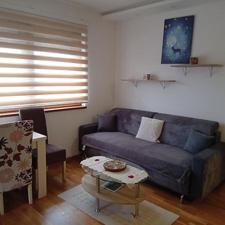 Iva Apartment Златибор Екстериор снимка