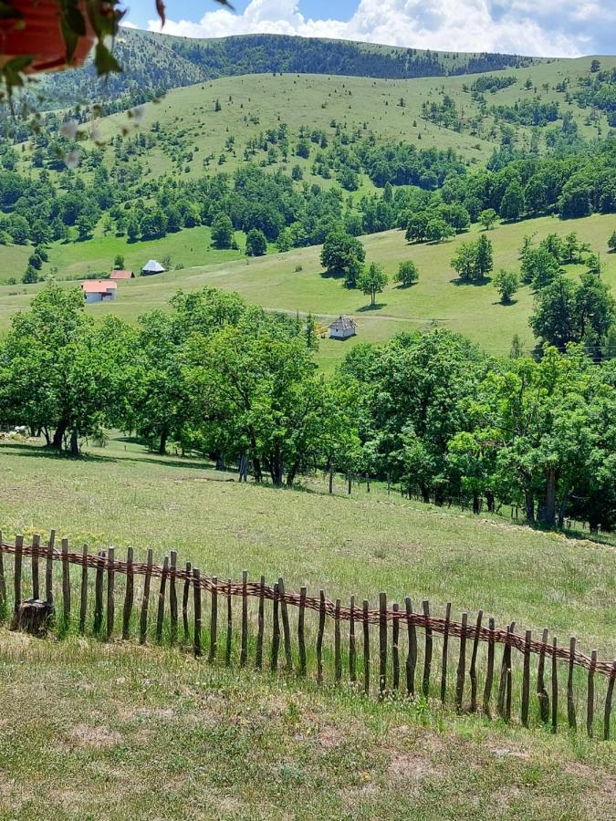 Iva Apartment Златибор Екстериор снимка