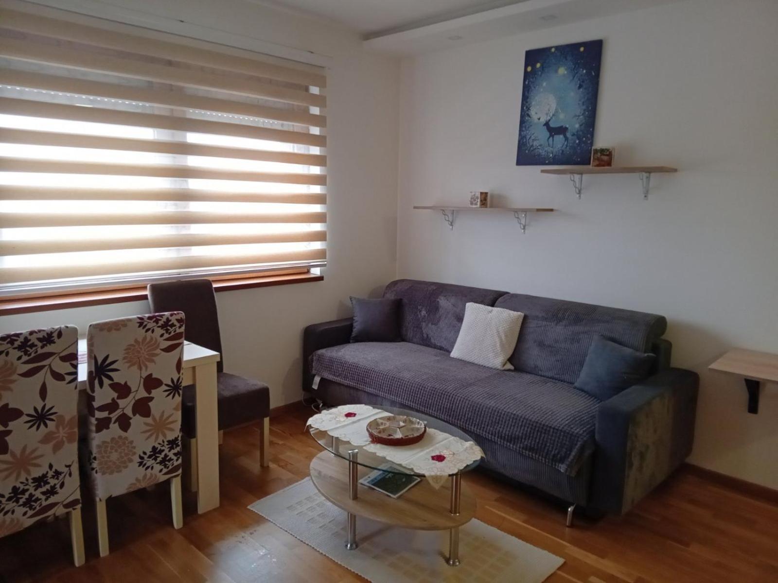 Iva Apartment Златибор Екстериор снимка